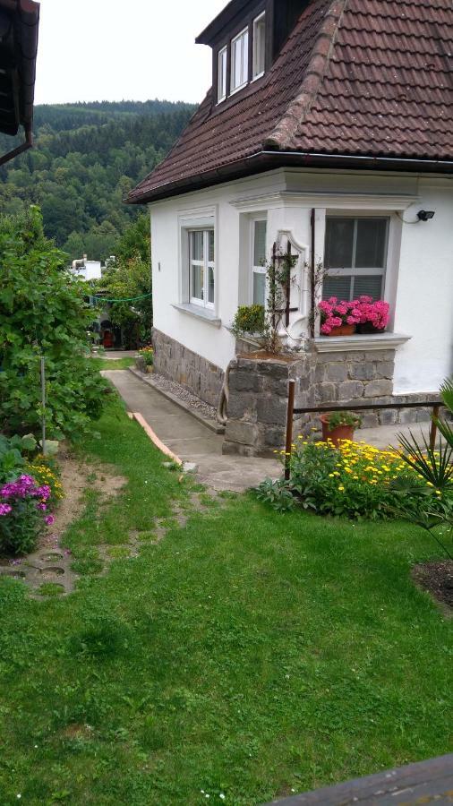 Appartement Byt - Apartman à Větřní Extérieur photo